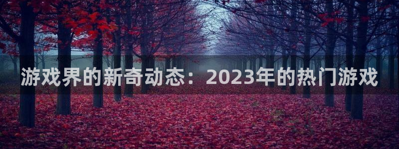 杜邦娱乐2登录：游戏界的新奇动态：2023年的热门游戏