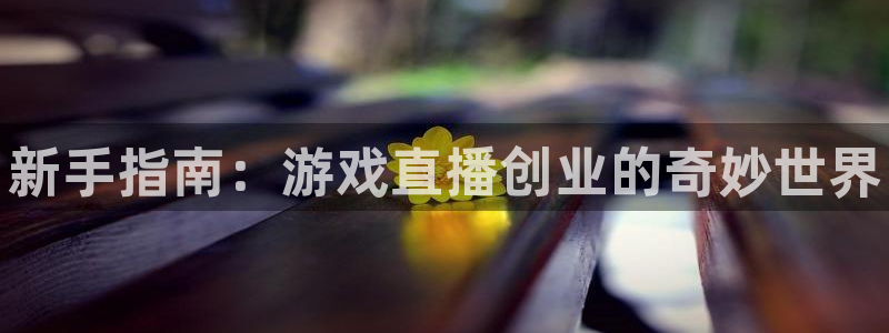 杜邦娱乐网址官网
