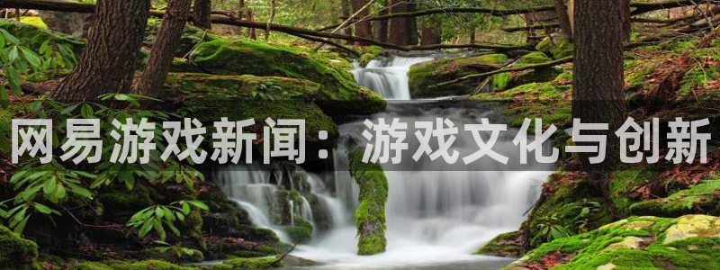 杜邦娱乐Ii：网易游戏新闻：游戏文化与创新