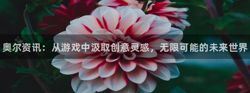 杜邦娱乐登陆测速：奥尔资讯：从游戏中汲取创意灵感，无限可能的