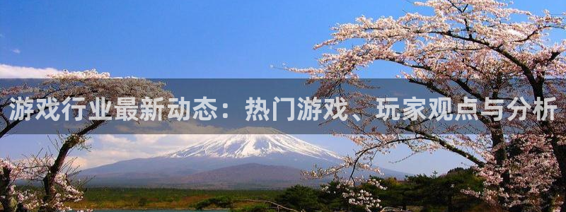 杜邦娱乐注册网站：游戏行业最新动态：热门游戏、玩家观点与分析