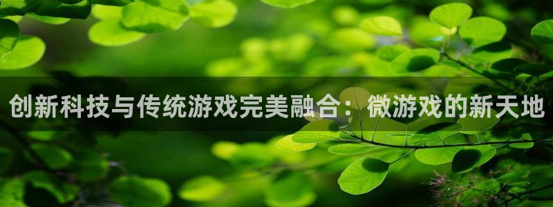 杜邦娱乐线路测试：创新科技与传统游戏完美融合：微游戏的新天地