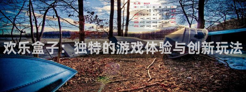 杜邦娱乐娱乐：欢乐盒子：独特的游戏体验与创新玩法