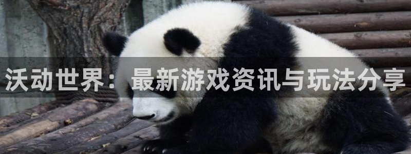 杜邦娱乐2首页登录：沃动世界：最新游戏资讯与玩法分享